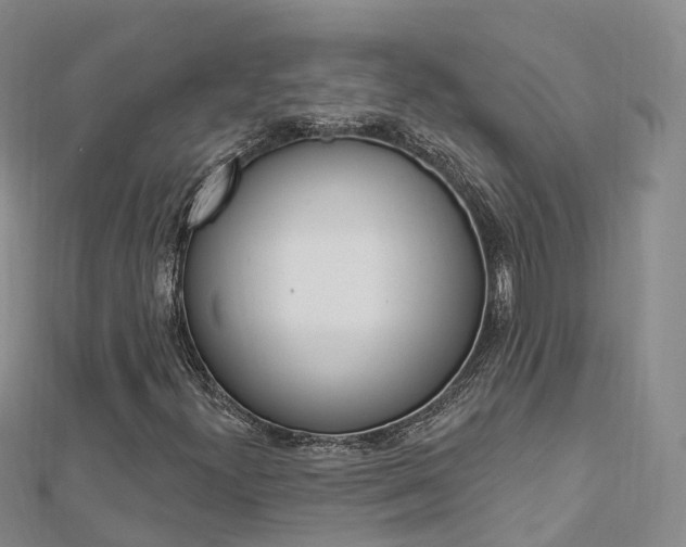X0000112741300200908201026