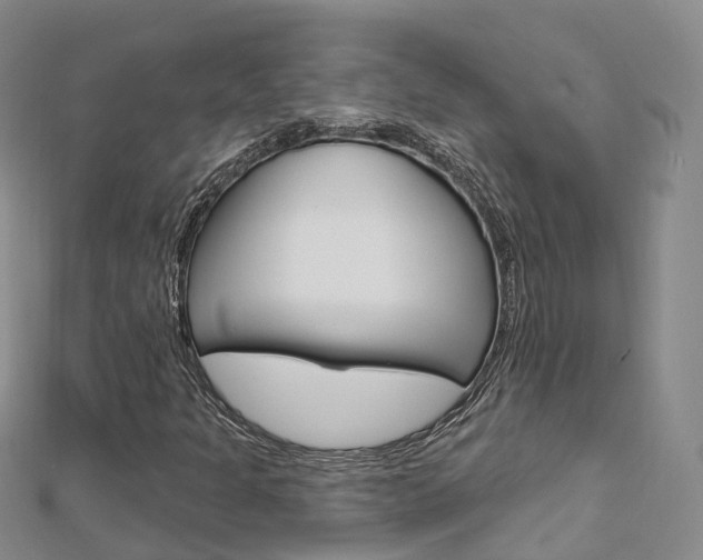 X0000112741301200908201026
