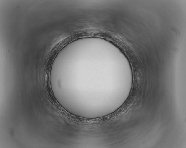 X0000112741302200908201026