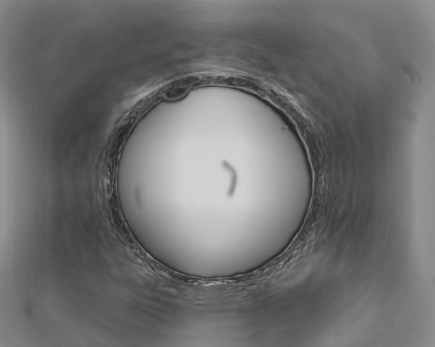 X0000112741303200908201026
