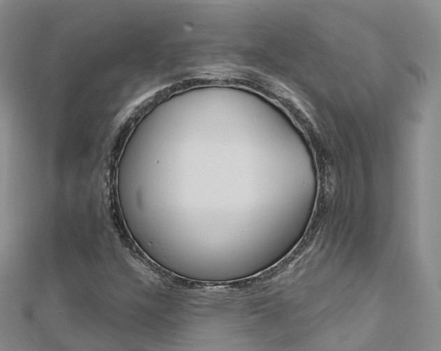 X0000112741304200908201026