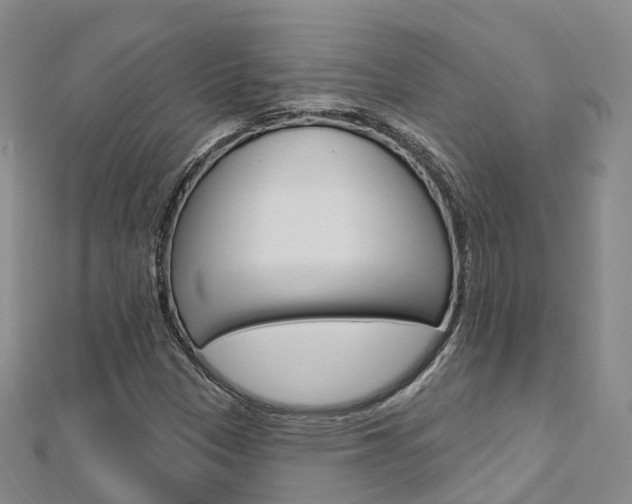 X0000112741305200908201026