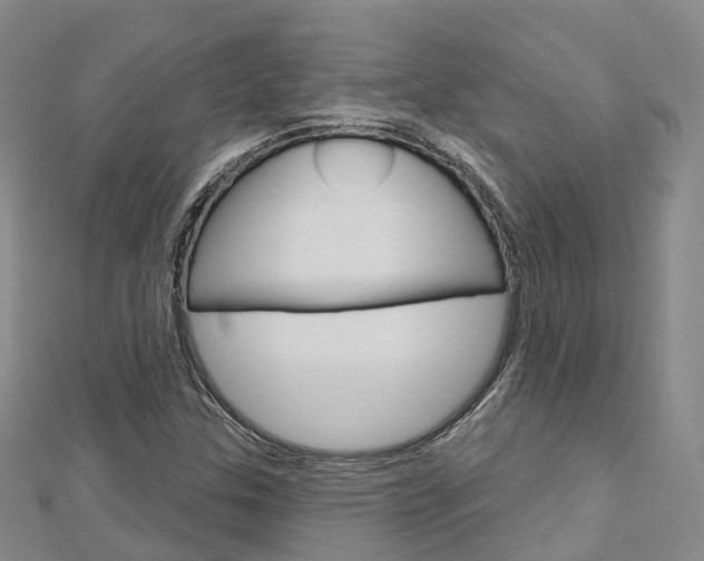 X0000112741307200908201026