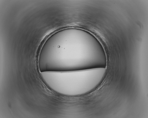 X0000112741308200908201026