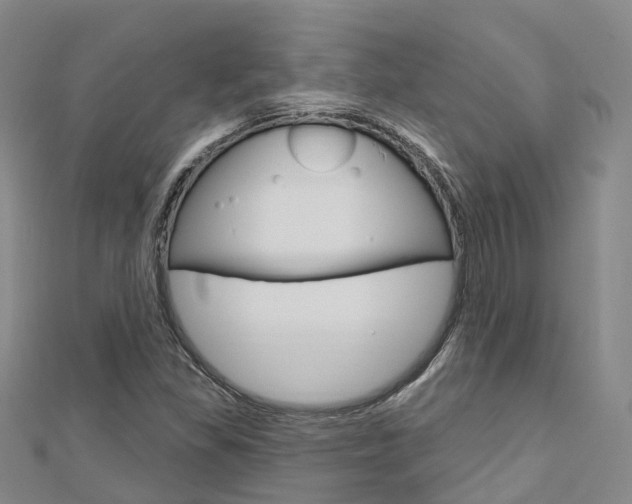 X0000112741309200908201026