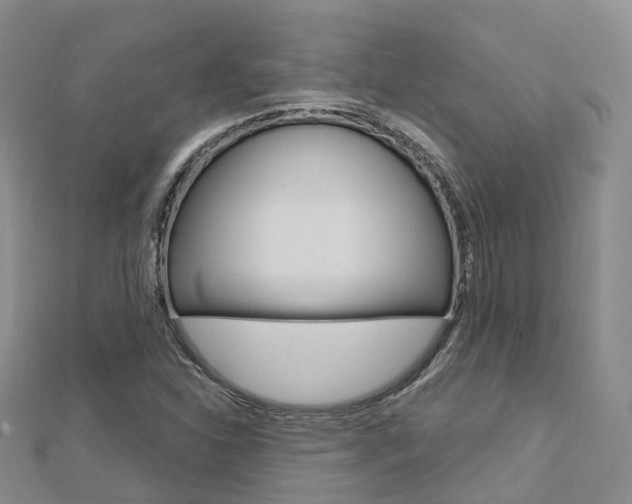 X0000112741310200908201026