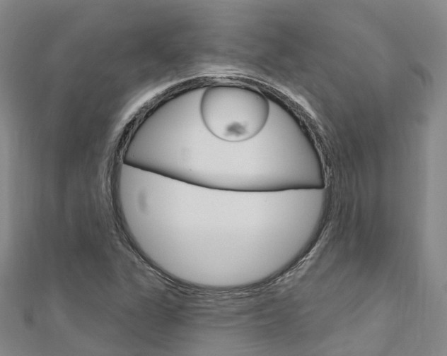 X0000112741311200908201026