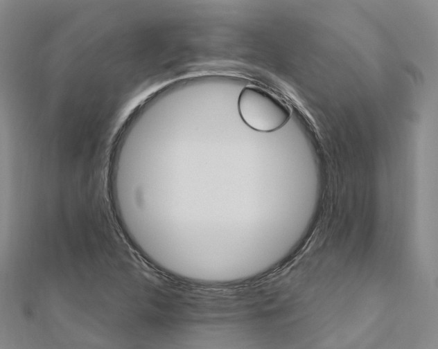 X0000112741312200908201026