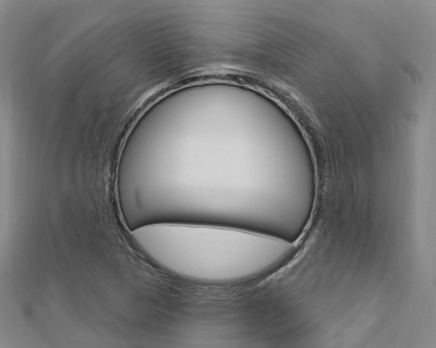 X0000112741313200908201026