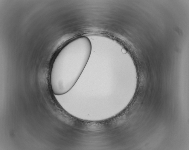 X0000112741314200908201026