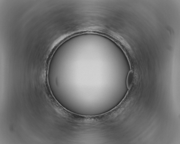 X0000112741316200908201026