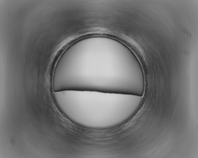 X0000112741318200908201026