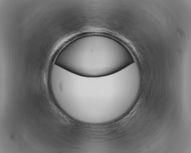 X0000112741319200908201026