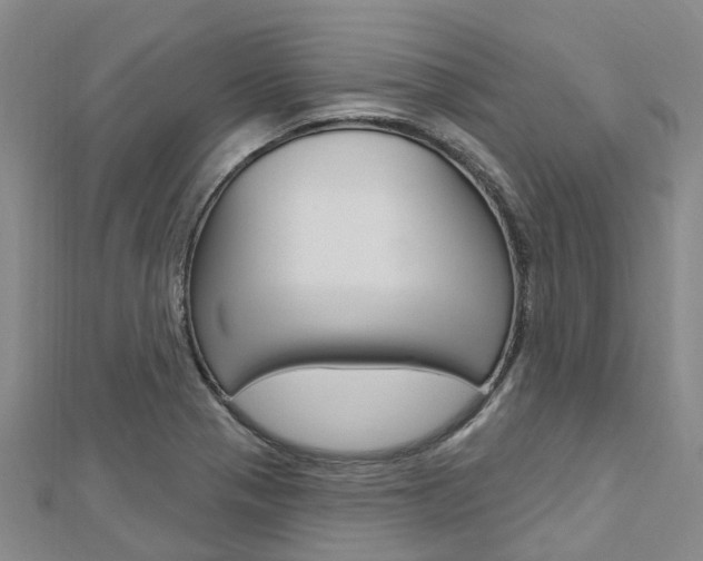 X0000112741321200908201026