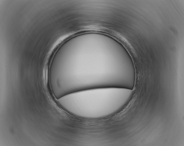 X0000112741323200908201026