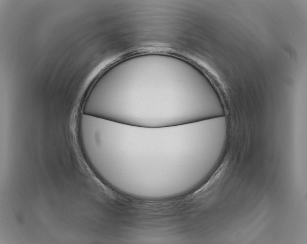 X0000112741325200908201026