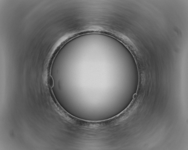 X0000112741326200908201026
