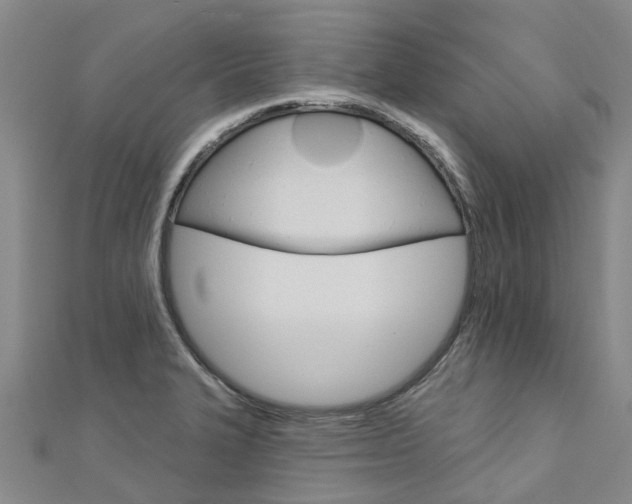 X0000112741327200908201026
