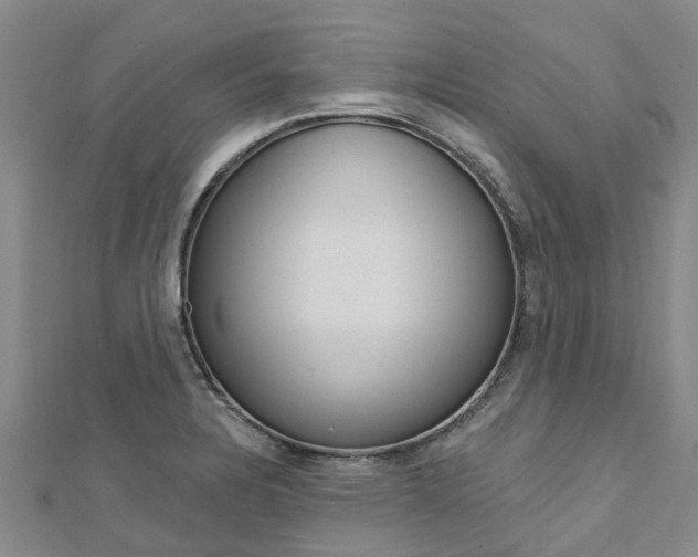 X0000112741328200908201026