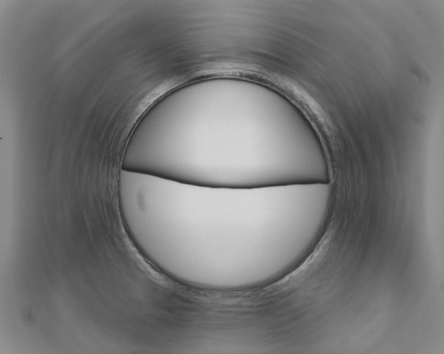 X0000112741329200908201026