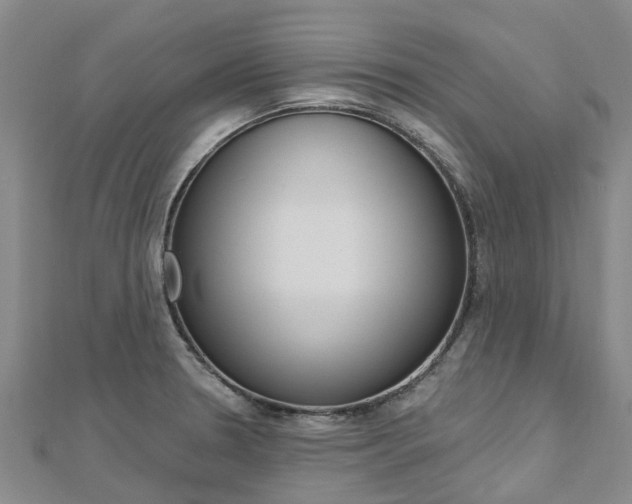 X0000112741330200908201026