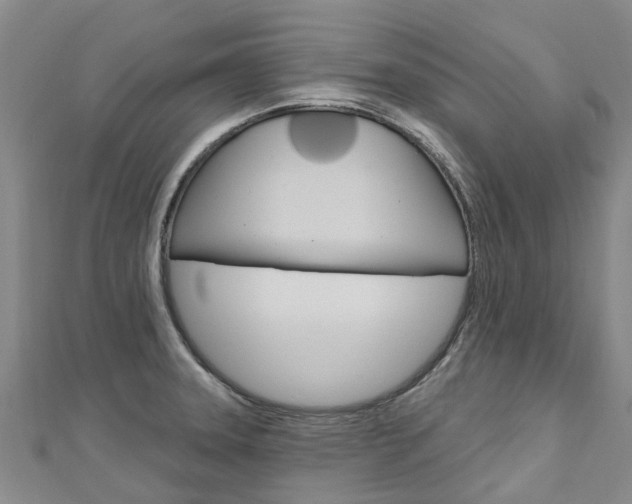 X0000112741331200908201026