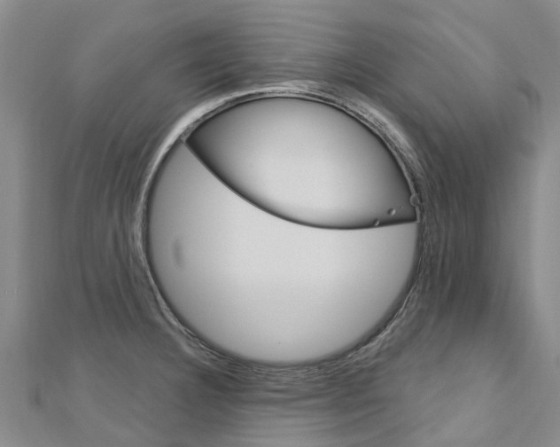 X0000112741332200908201026