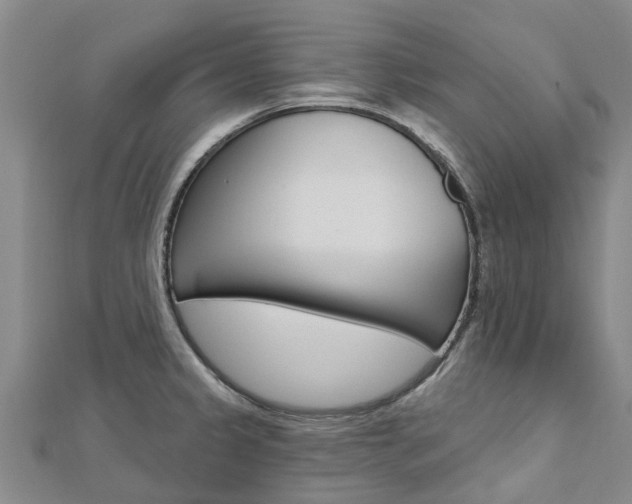 X0000112741333200908201026