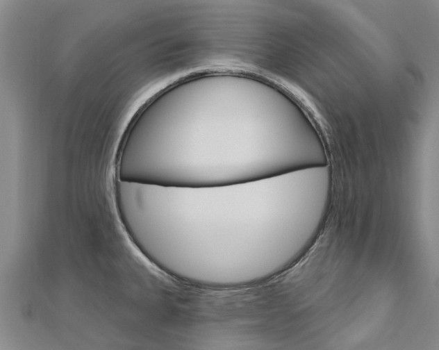 X0000112741335200908201026