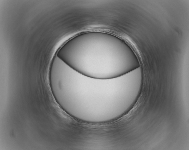 X0000112741336200908201027