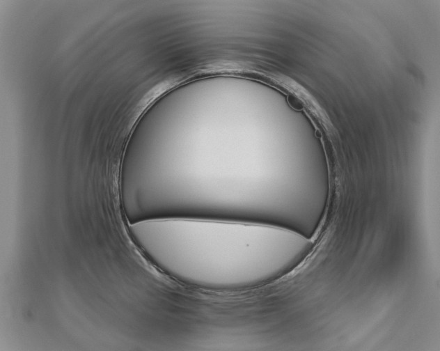 X0000112741337200908201027