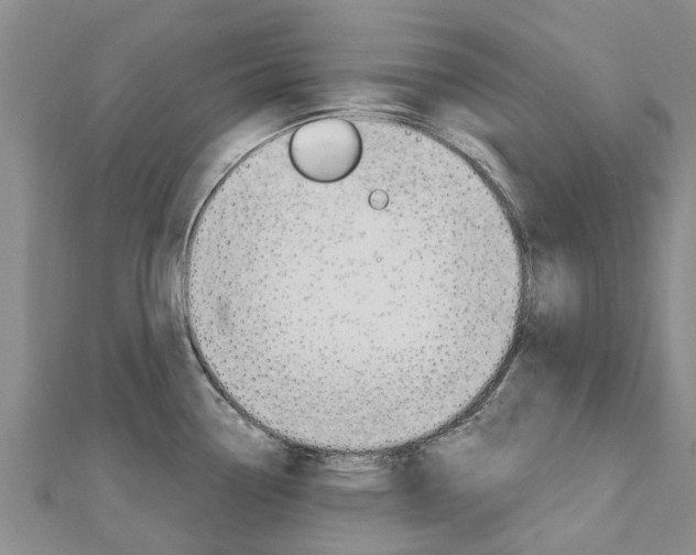X0000112741338200908201027
