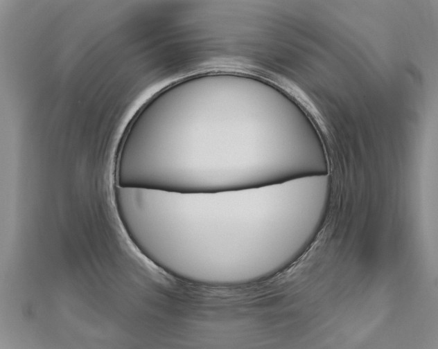 X0000112741339200908201027