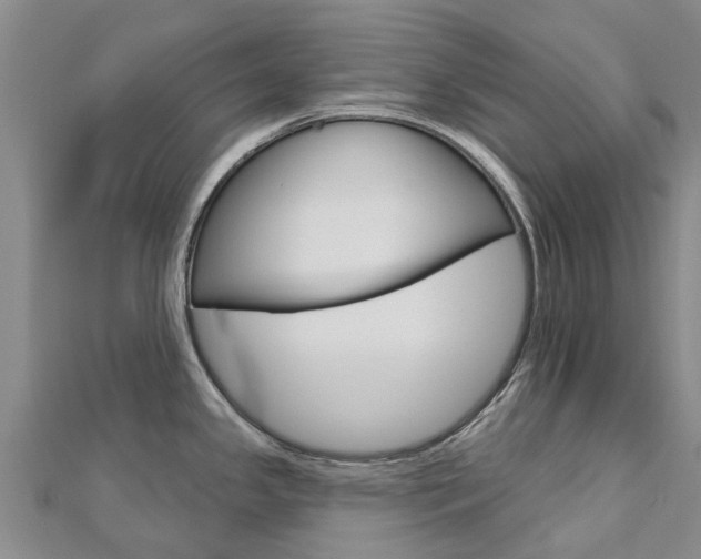 X0000112741341200908201027