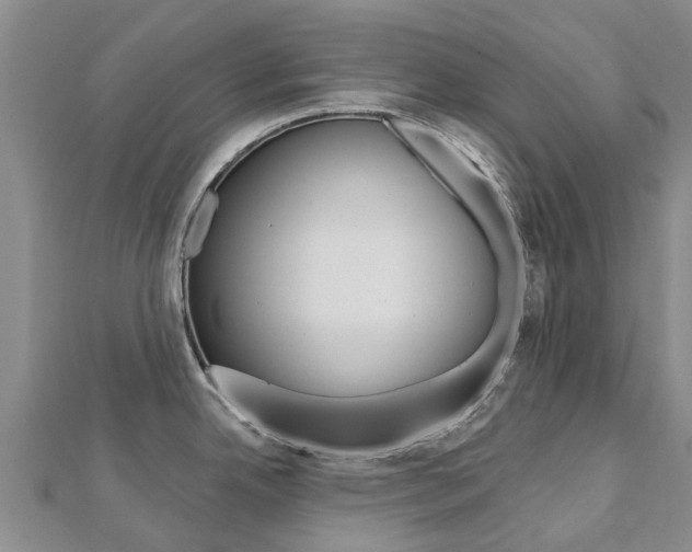 X0000112741342200908201027