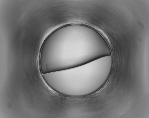 X0000112741343200908201027