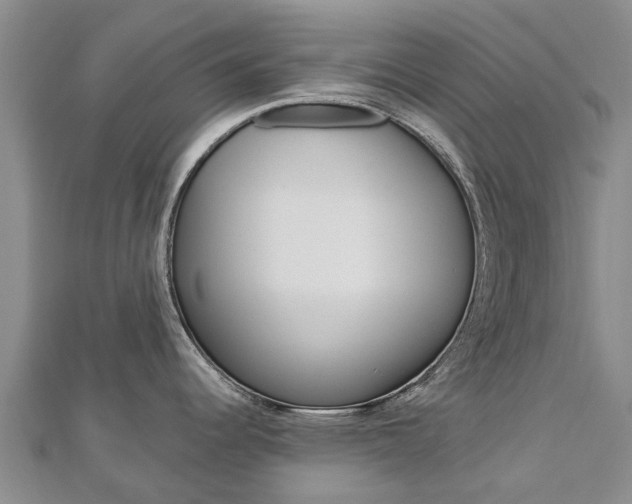 X0000112741344200908201027