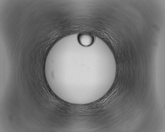 X0000112741345200908201026
