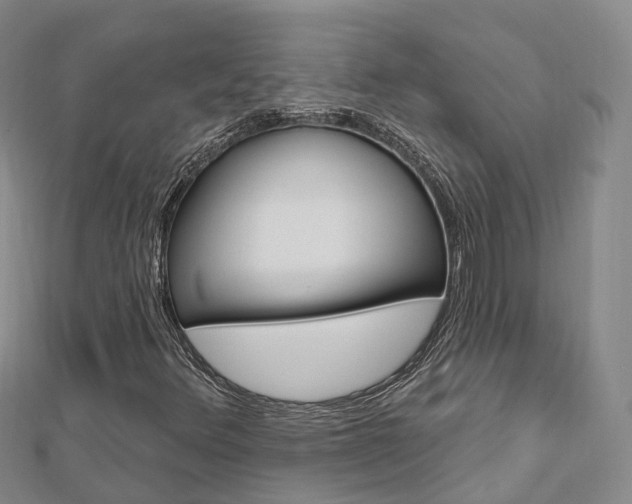 X0000112741348200908201026