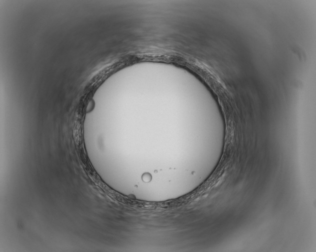X0000112741350200908201026
