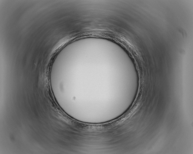X0000112741354200908201026