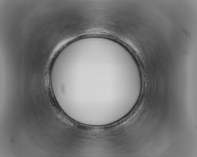 X0000112741358200908201026