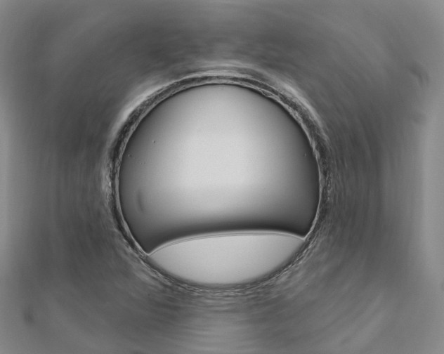 X0000112741360200908201026