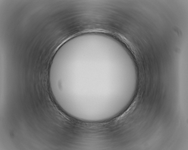X0000112741361200908201026