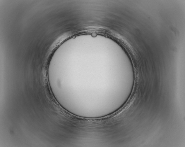 X0000112741362200908201026