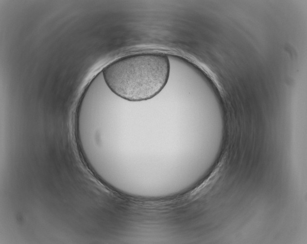 X0000112741365200908201026