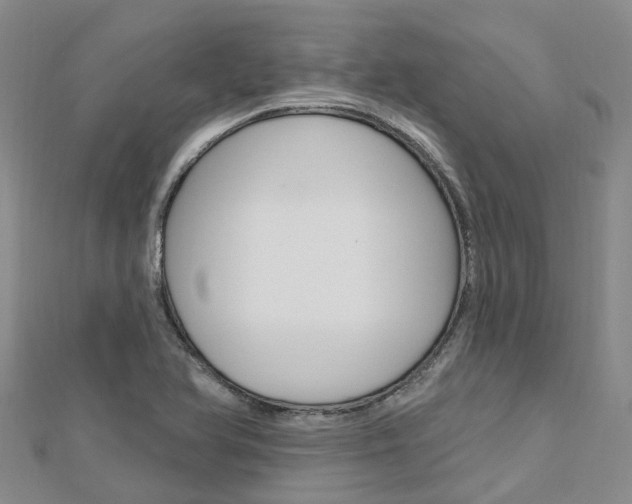 X0000112741366200908201026