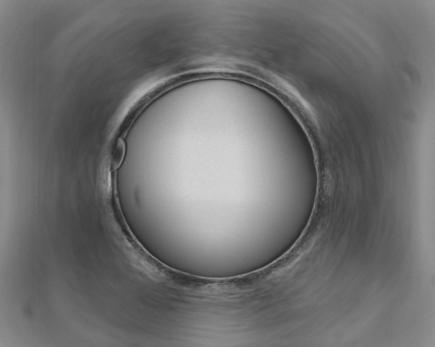 X0000112741368200908201026