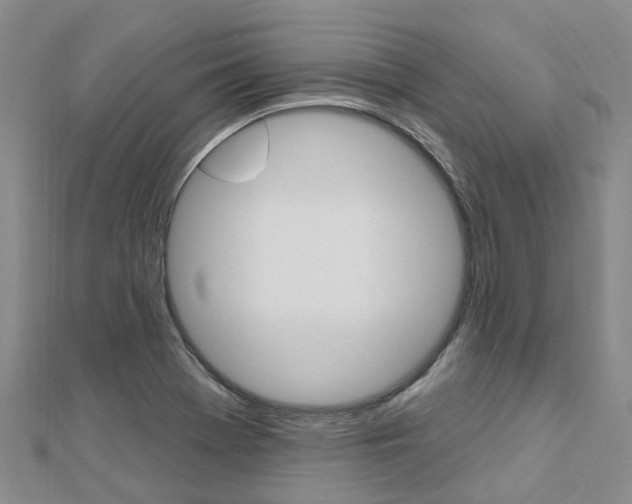 X0000112741369200908201026