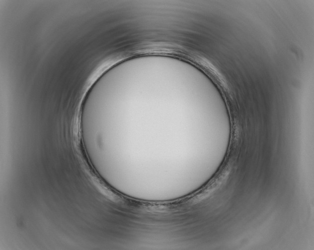X0000112741370200908201025